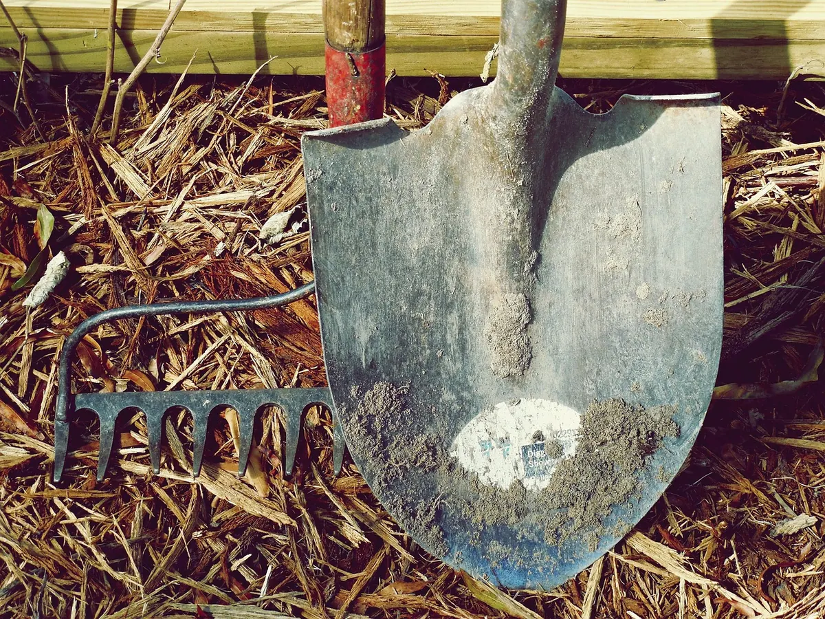 A Seasonal Coastal Gardening Checklist for Every Month
