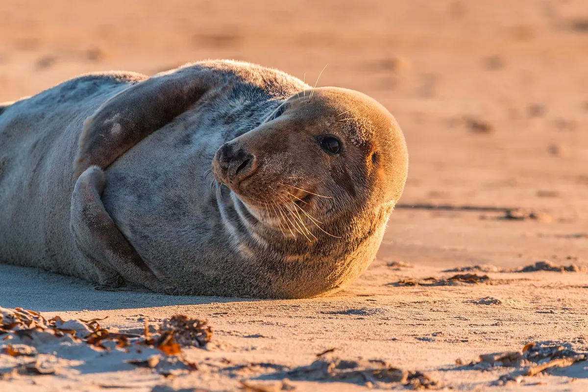 Rockpooling for Beginners: How to Explore Safely and Ethically